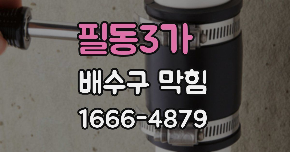 필동3가 배수구 막힘