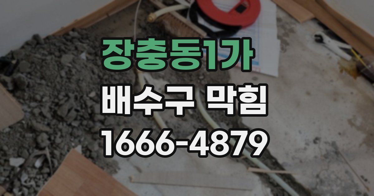 장충동1가 배수구 막힘