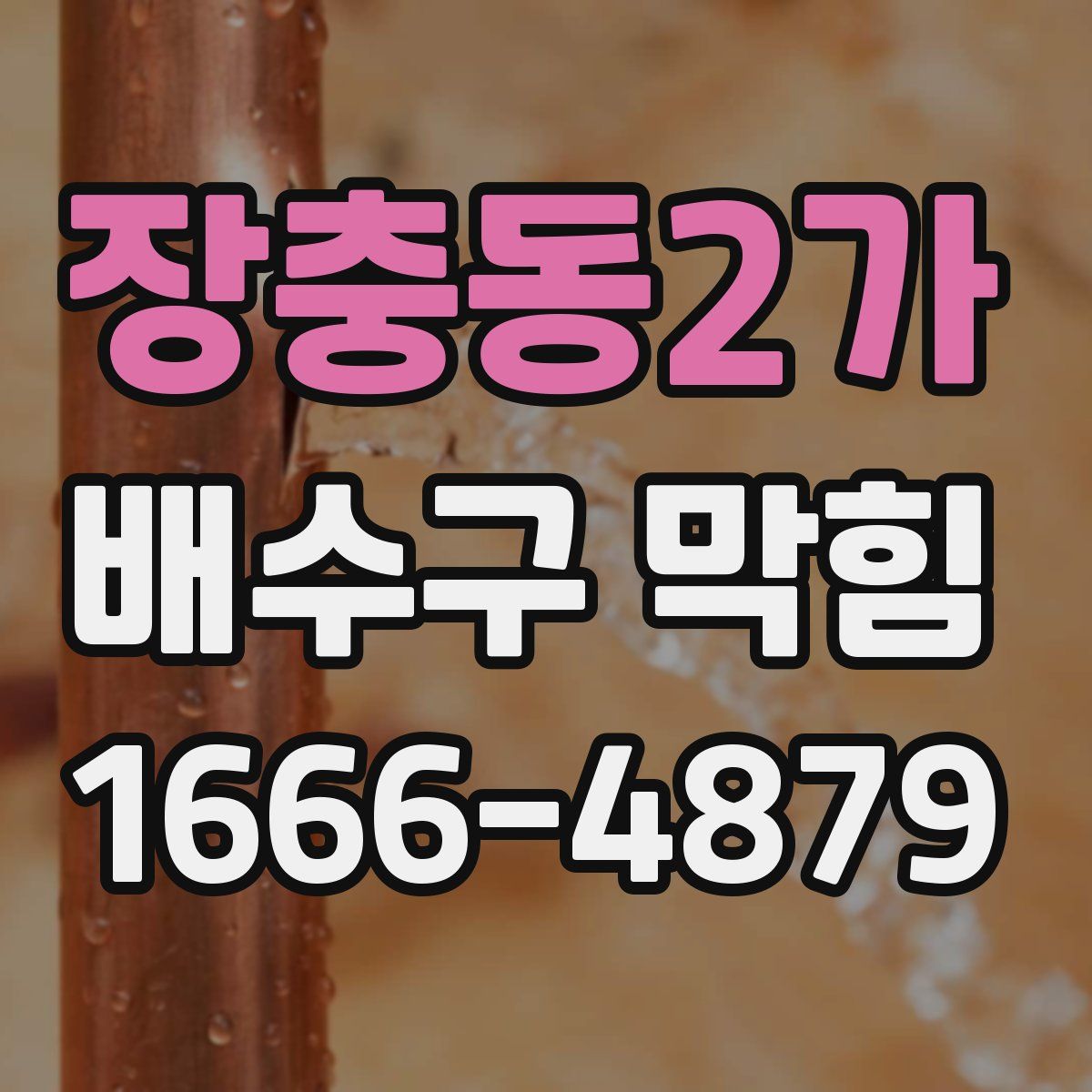 장충동2가 배수구 막힘