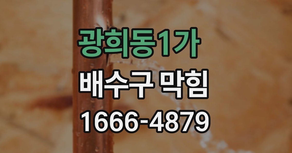 광희동1가 배수구 막힘