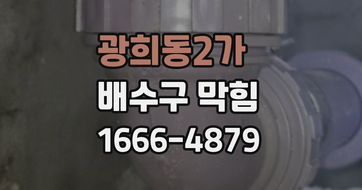 광희동2가 배수구 막힘