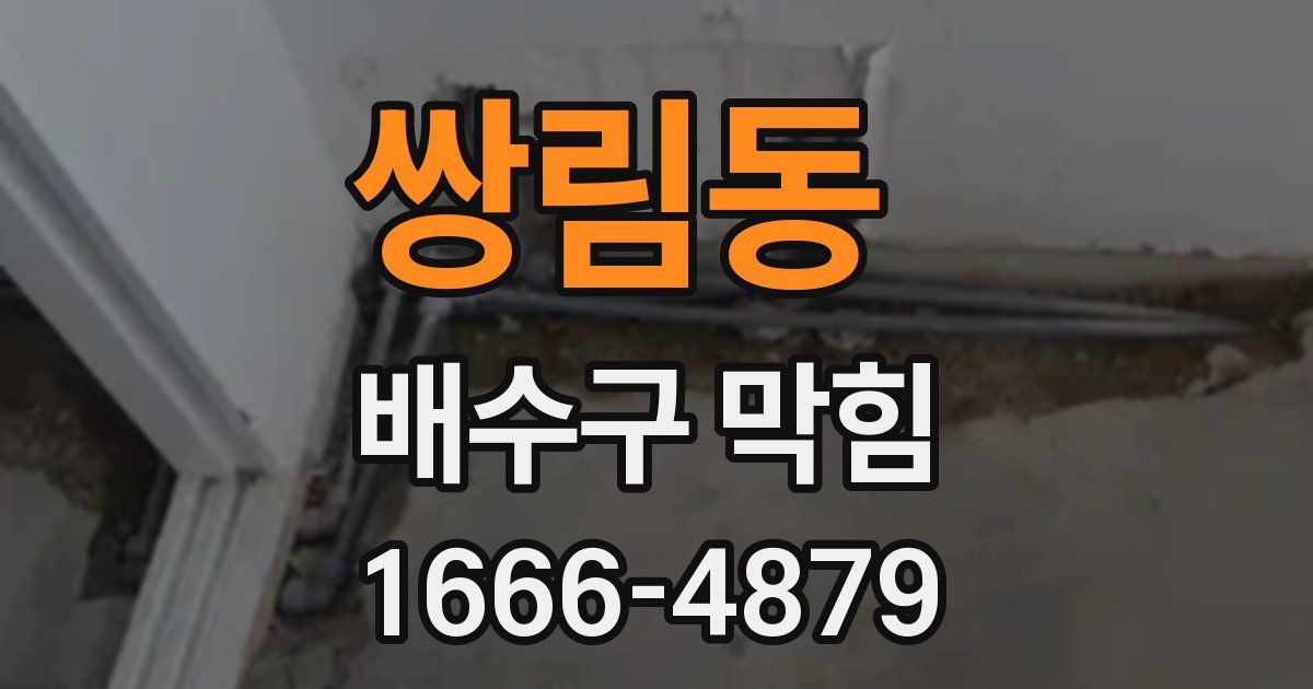 쌍림동 배수구 막힘
