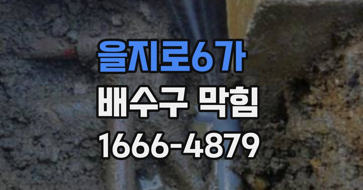 을지로6가 배수구 막힘