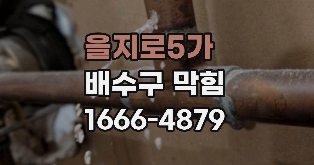 을지로5가 배수구 막힘