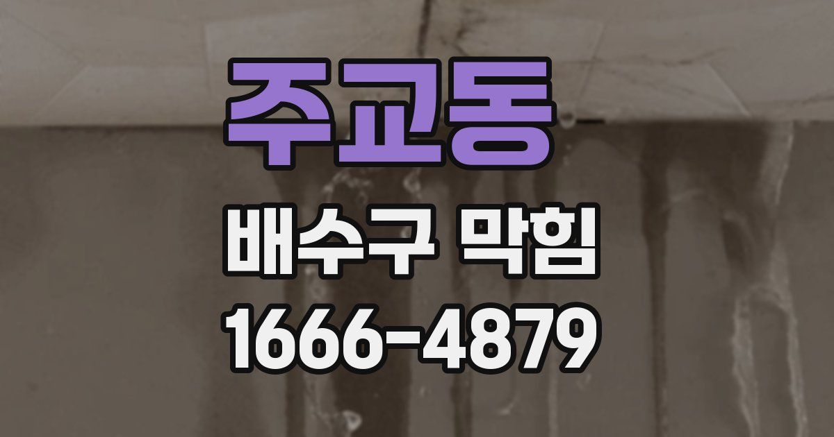 주교동 배수구 막힘