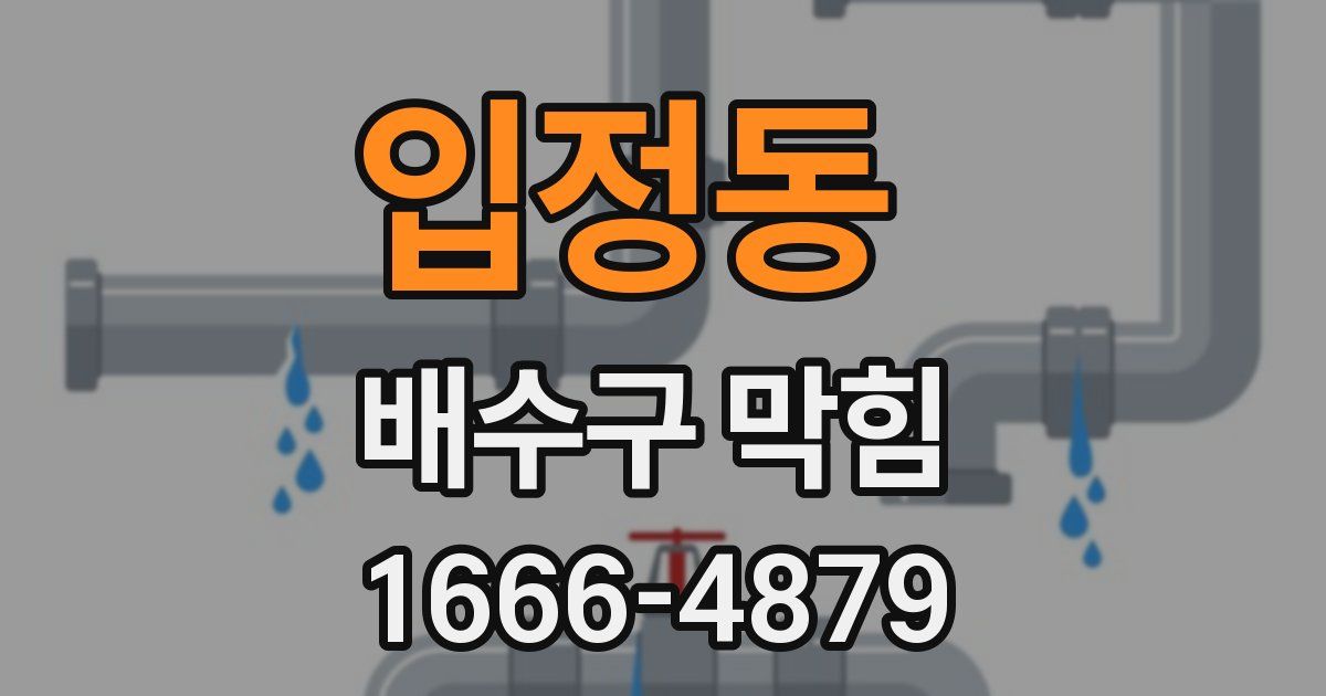 입정동 배수구 막힘