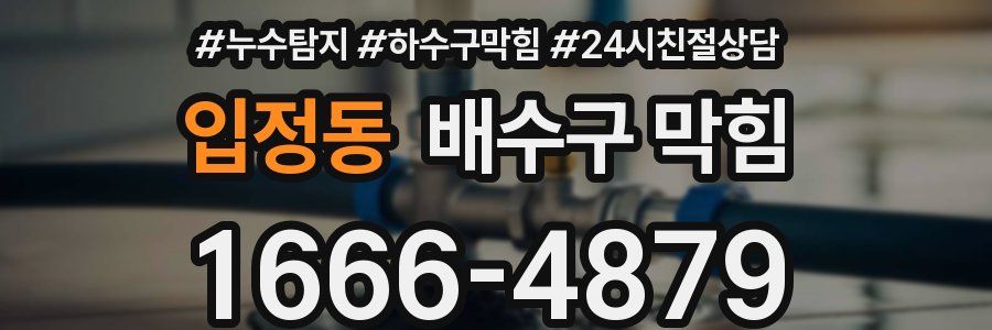 입정동 배수구 막힘