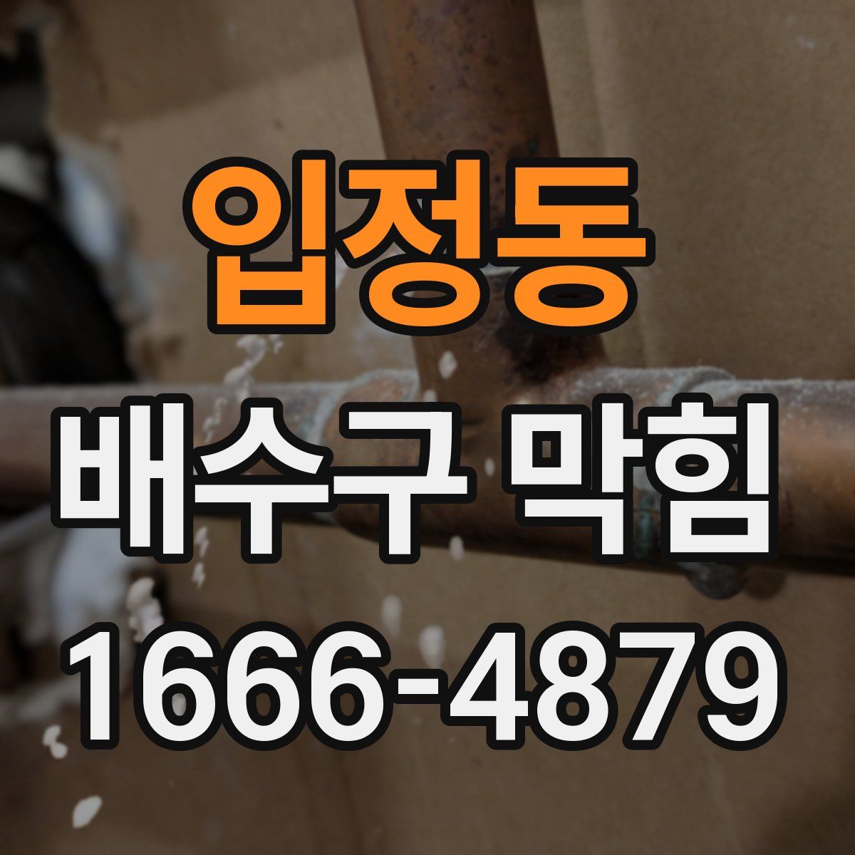 입정동 배수구 막힘