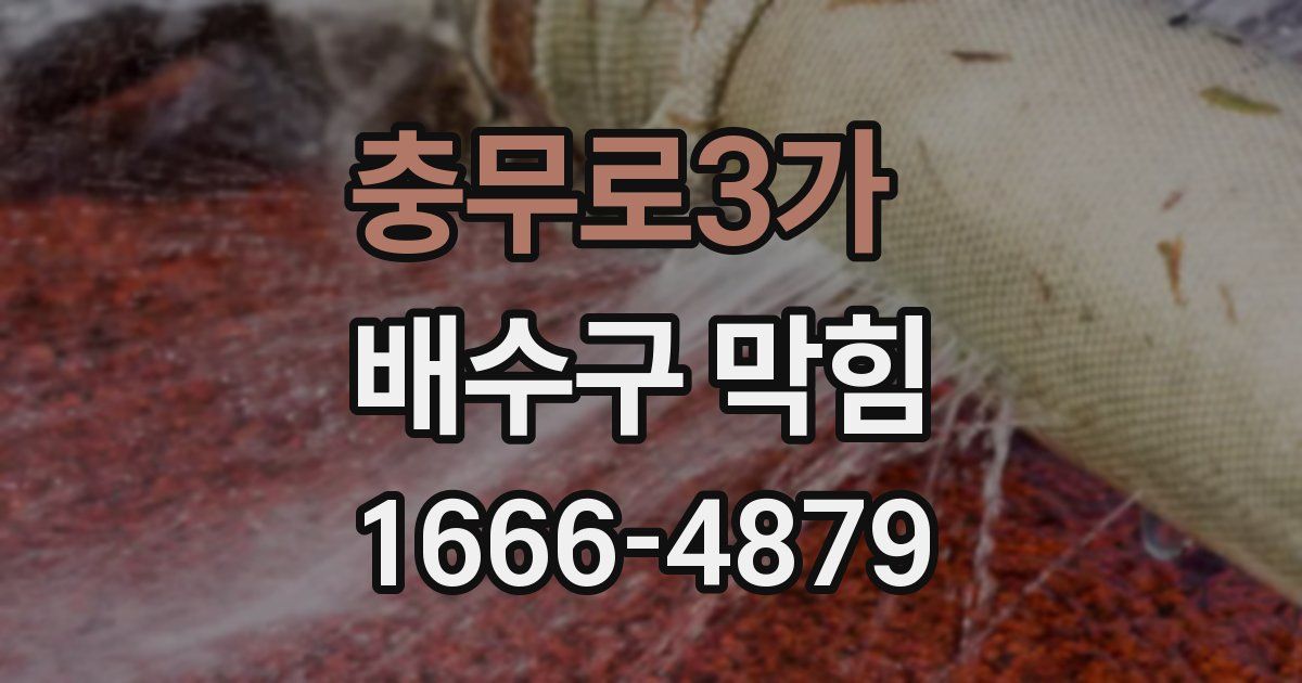충무로3가 배수구 막힘