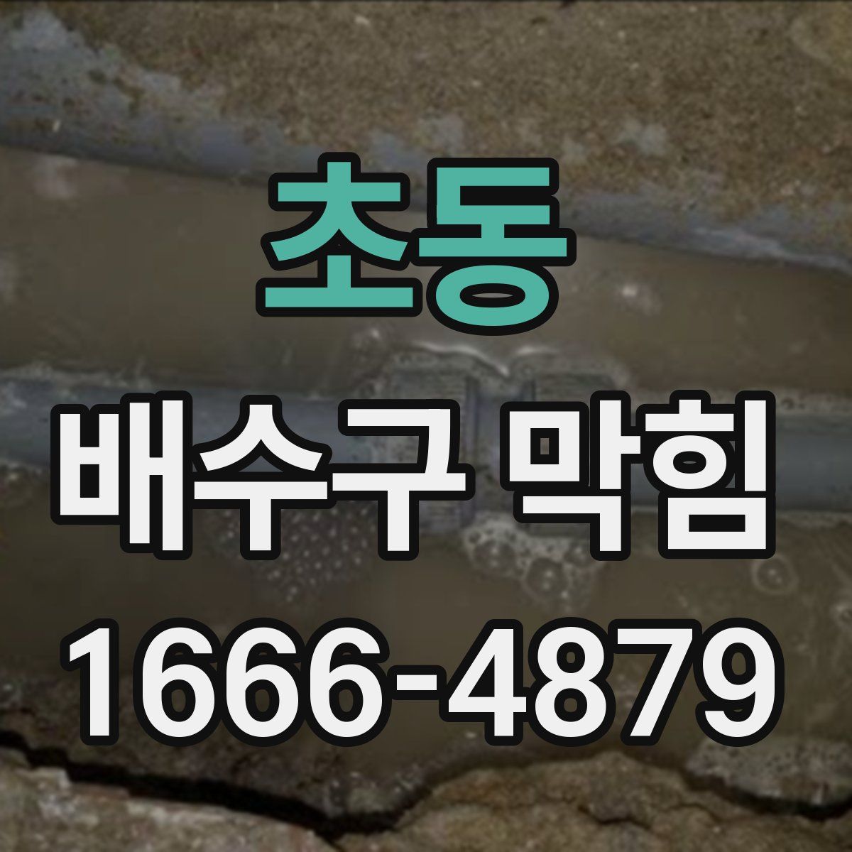 초동 배수구 막힘