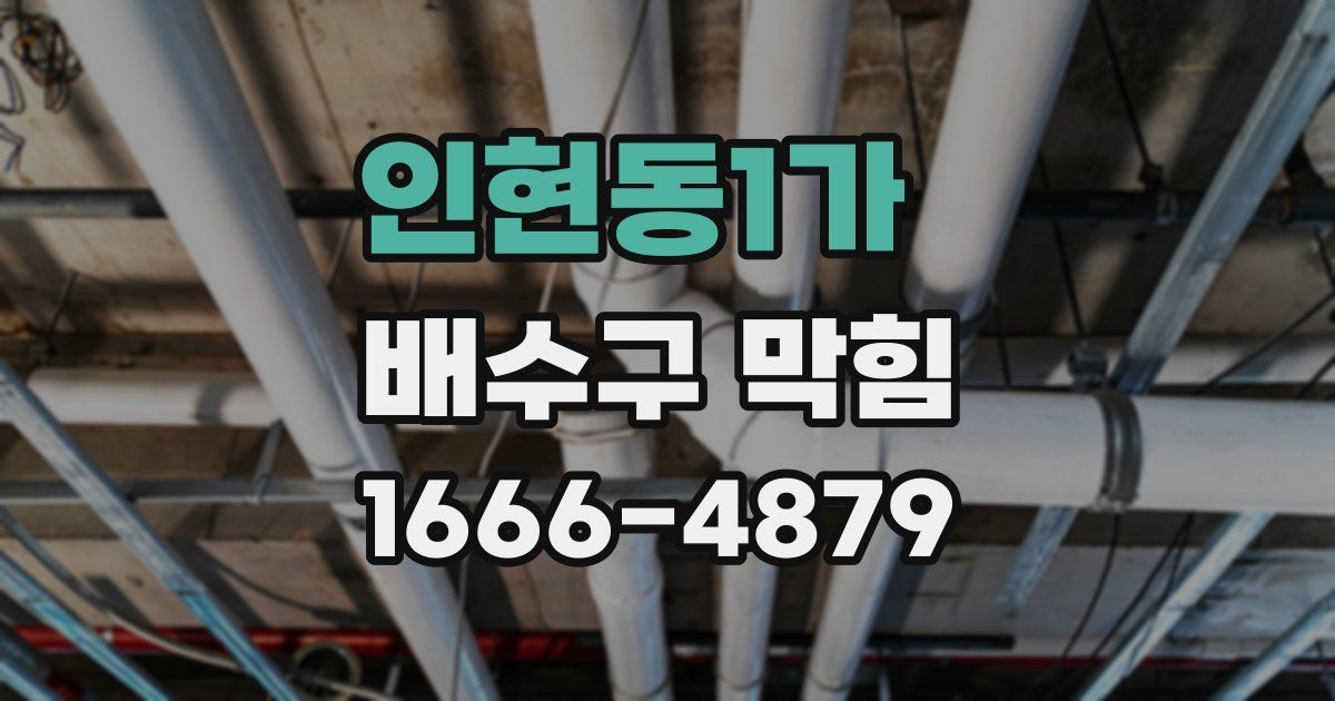 인현동1가 배수구 막힘
