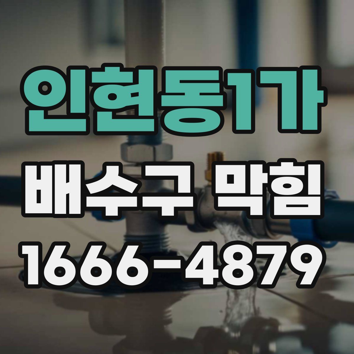 인현동1가 배수구 막힘