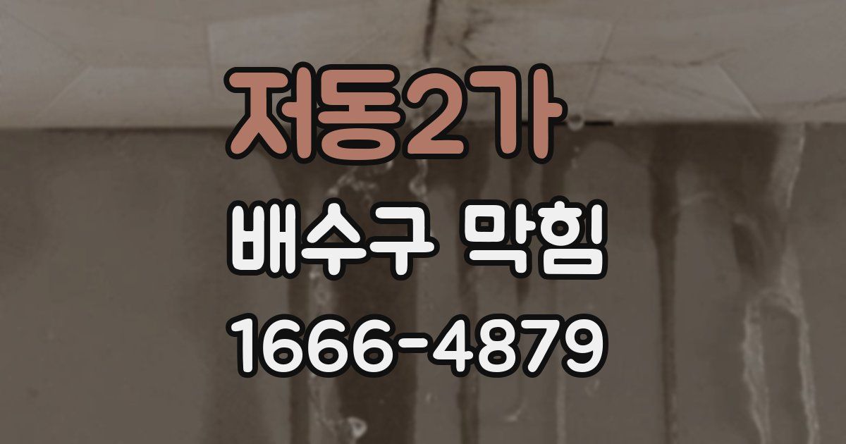 저동2가 배수구 막힘