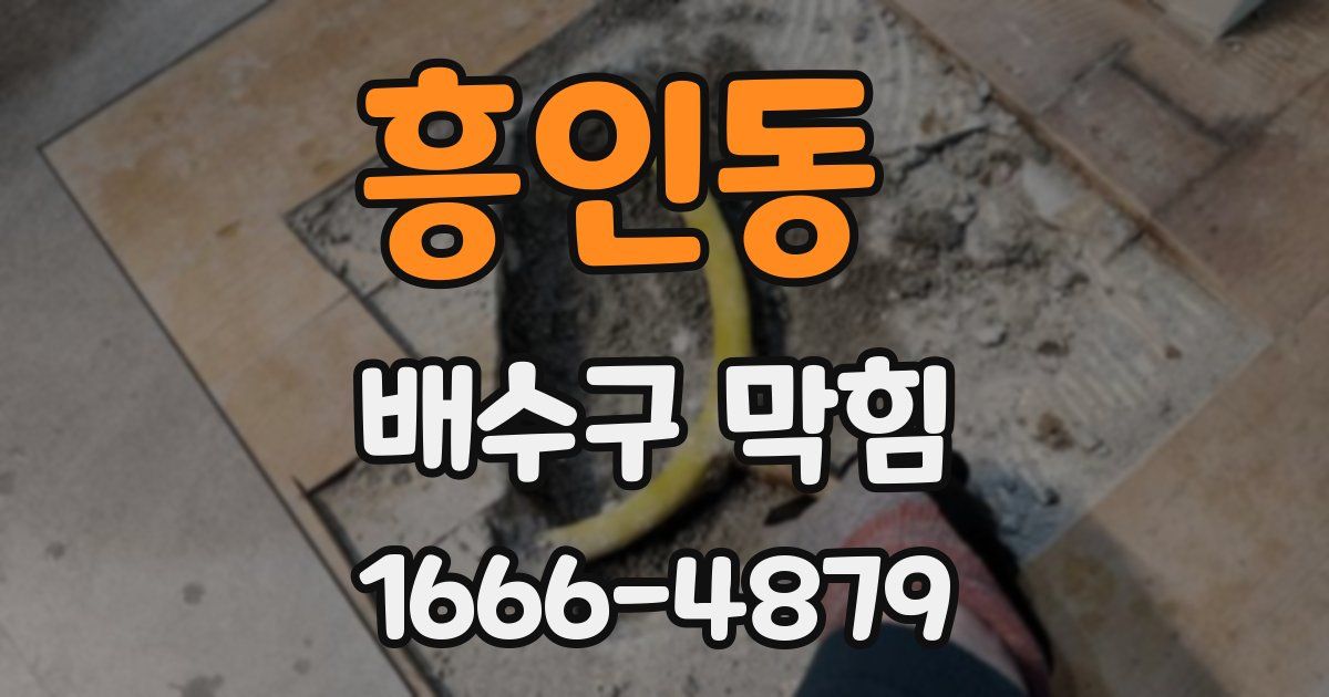 흥인동 배수구 막힘