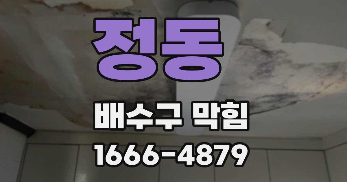 정동 배수구 막힘