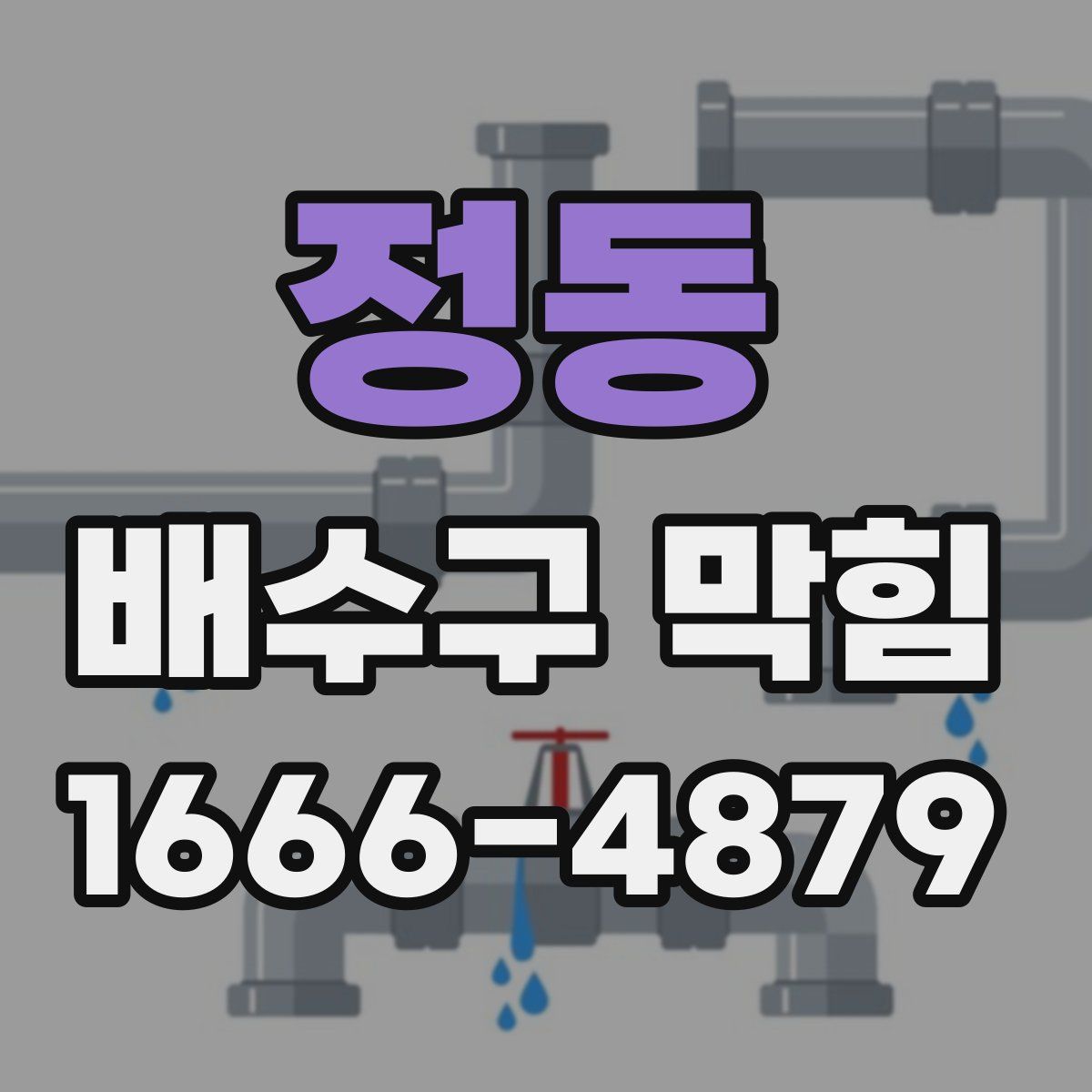 정동 배수구 막힘