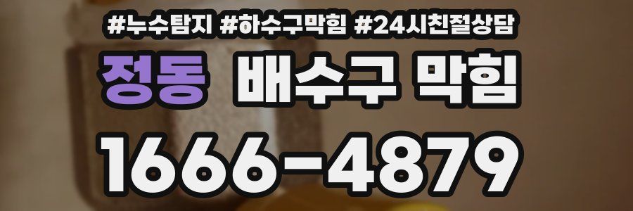 정동 배수구 막힘