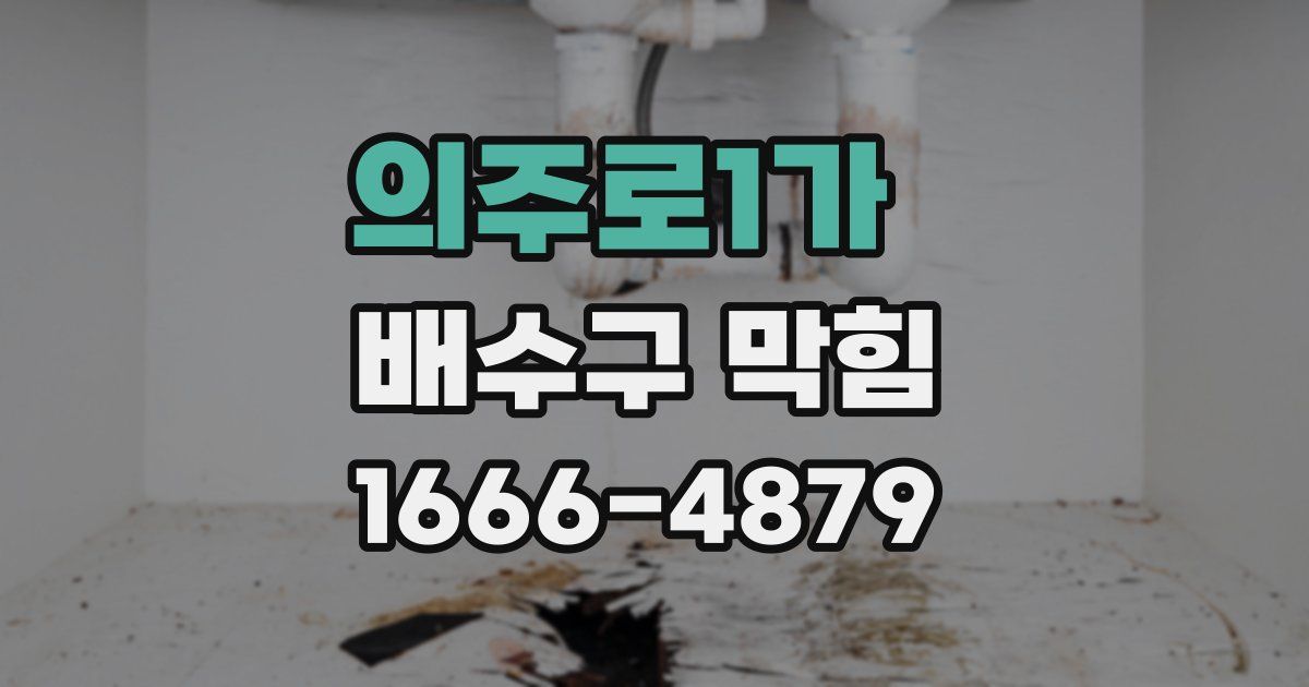의주로1가 배수구 막힘