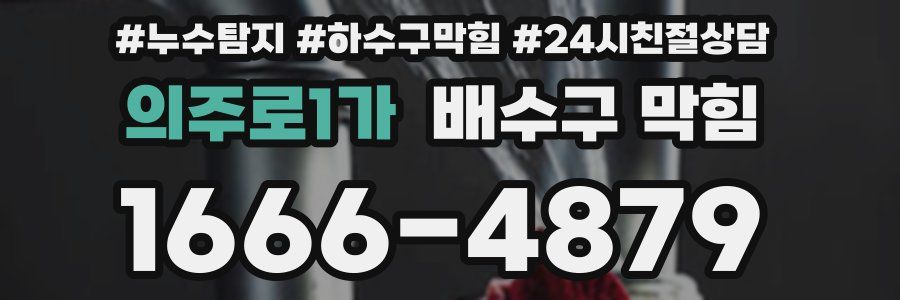 의주로1가 배수구 막힘