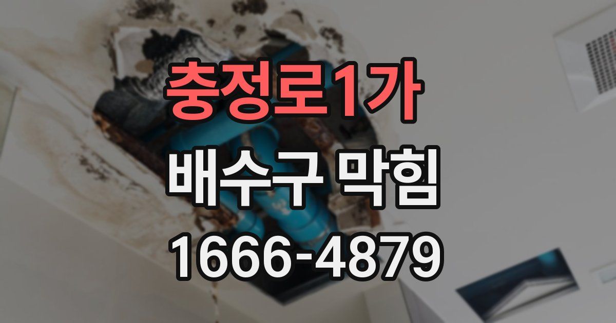 충정로1가 배수구 막힘