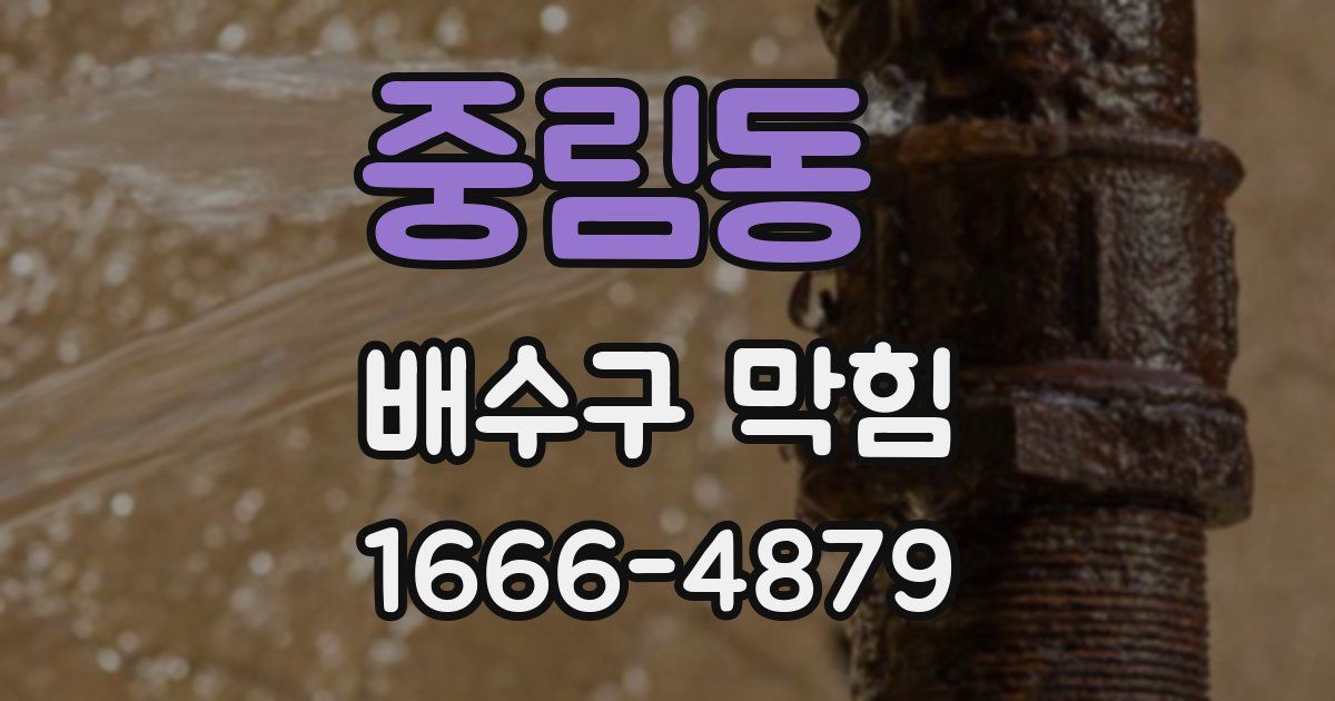 중림동 배수구 막힘
