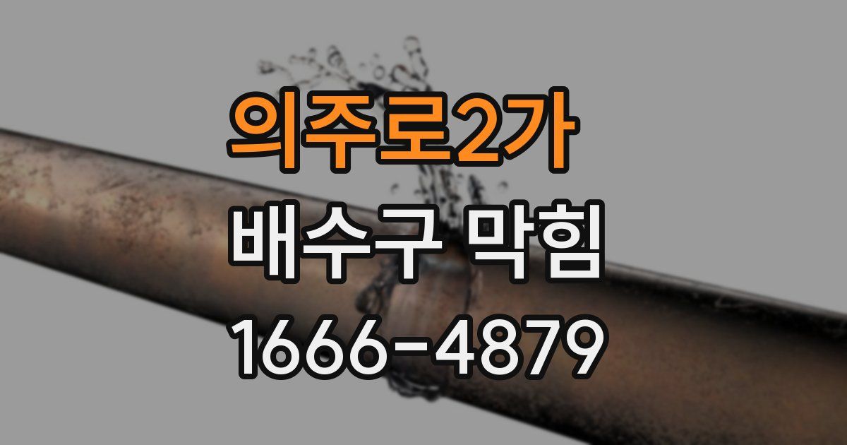 의주로2가 배수구 막힘