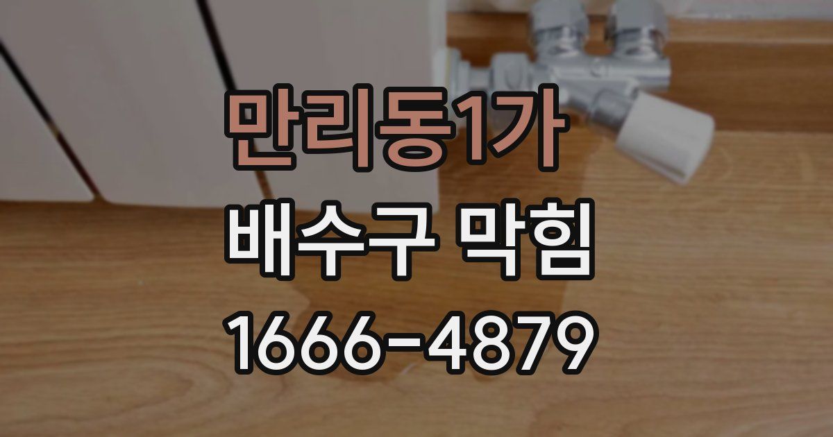 만리동1가 배수구 막힘