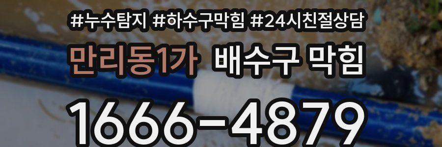 만리동1가 배수구 막힘