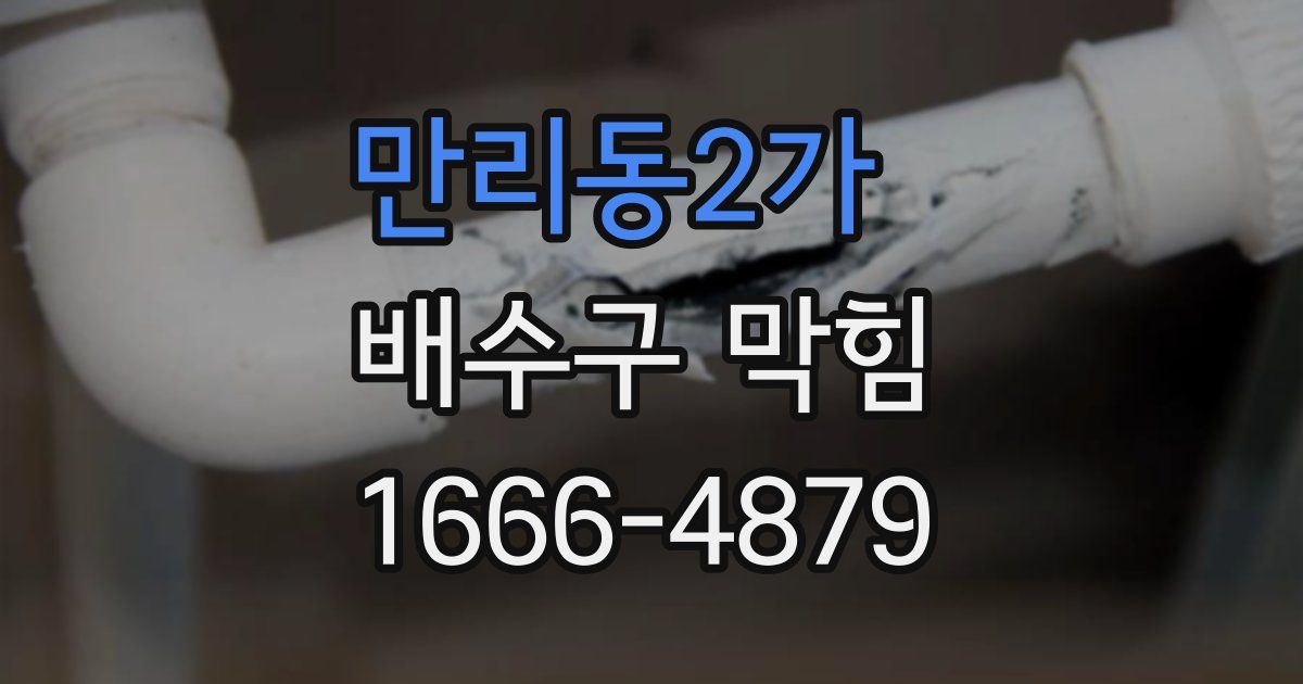 만리동2가 배수구 막힘
