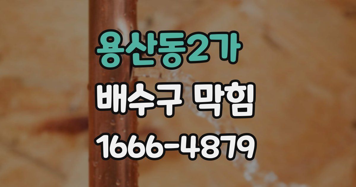 용산동2가 배수구 막힘