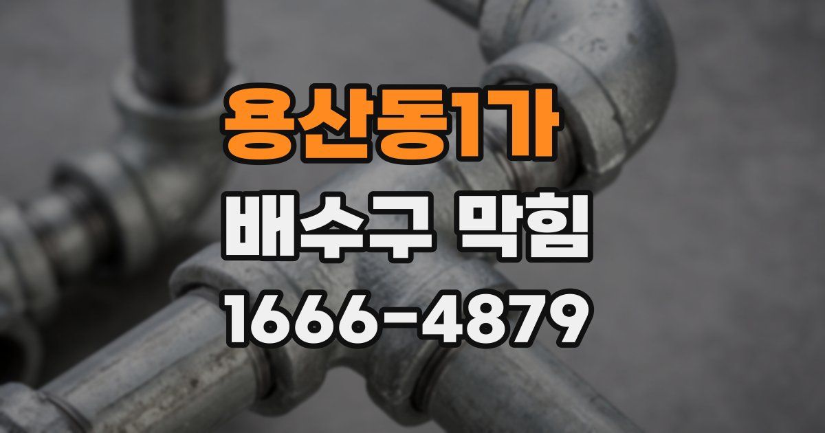 용산동1가 배수구 막힘