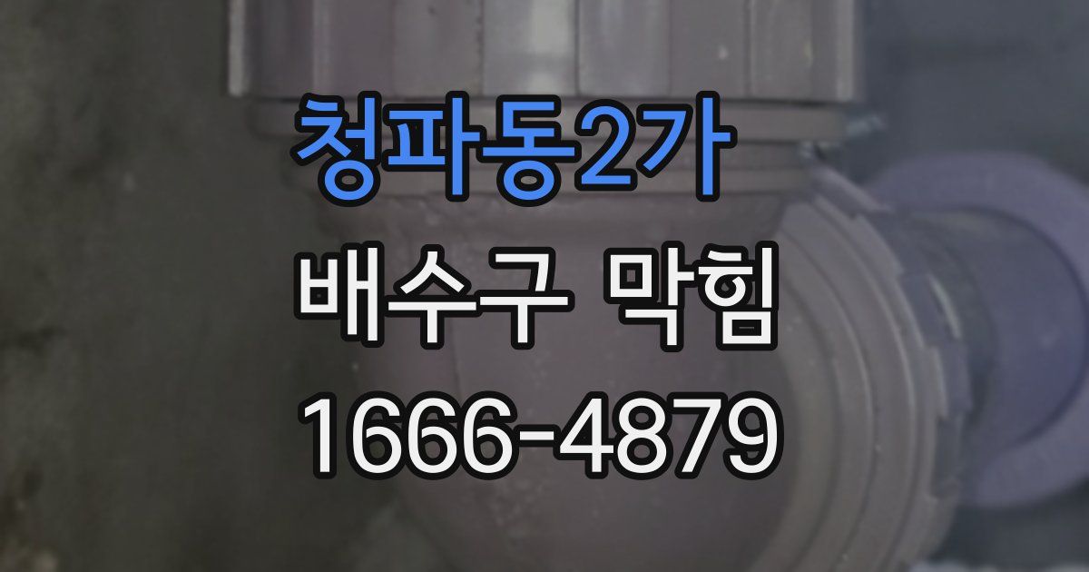 청파동2가 배수구 막힘