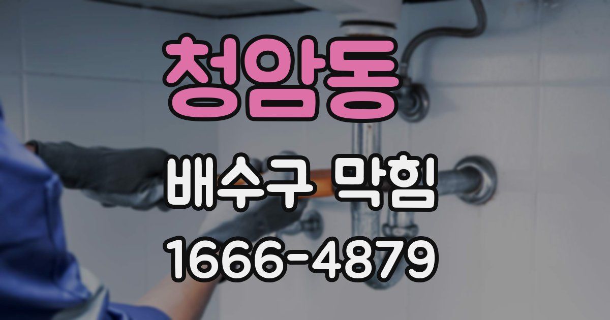 청암동 배수구 막힘