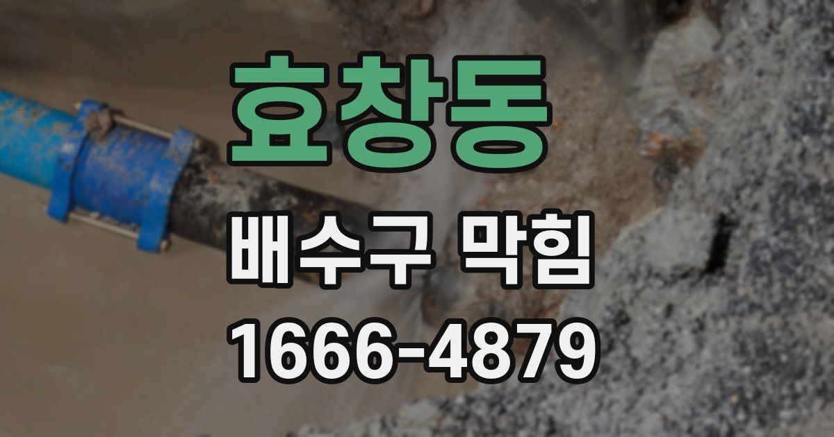 효창동 배수구 막힘