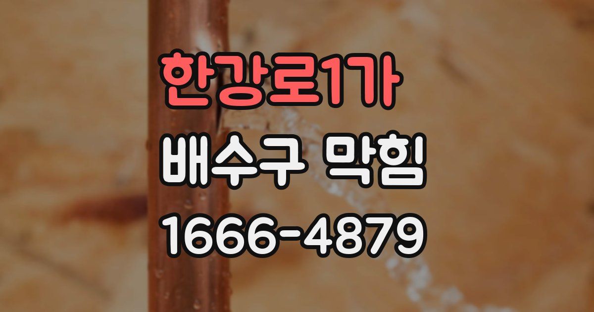 한강로1가 배수구 막힘