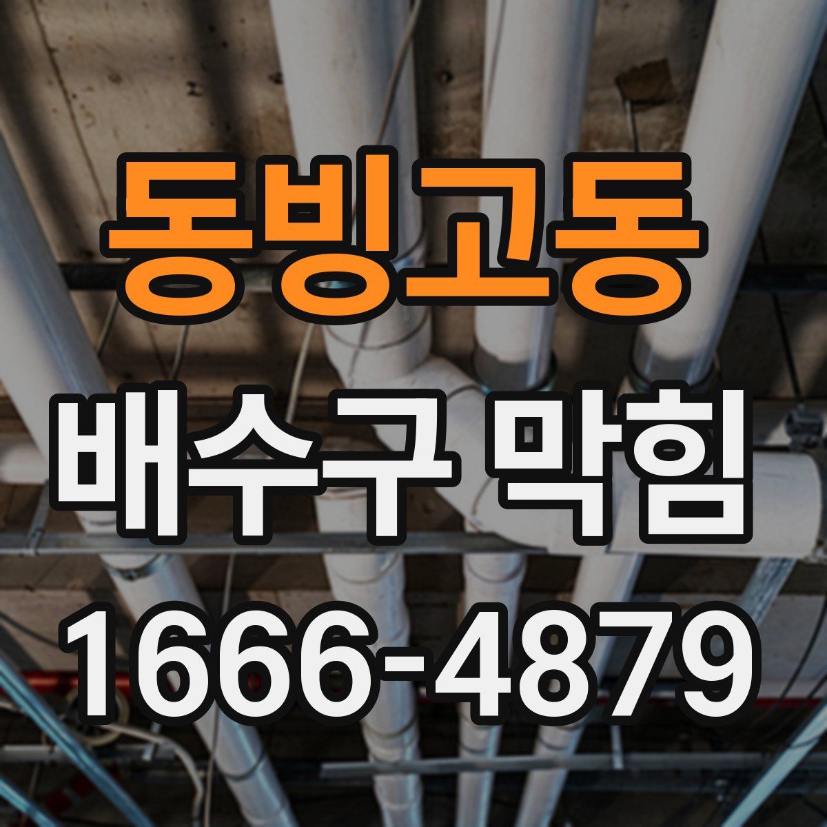 동빙고동 배수구 막힘