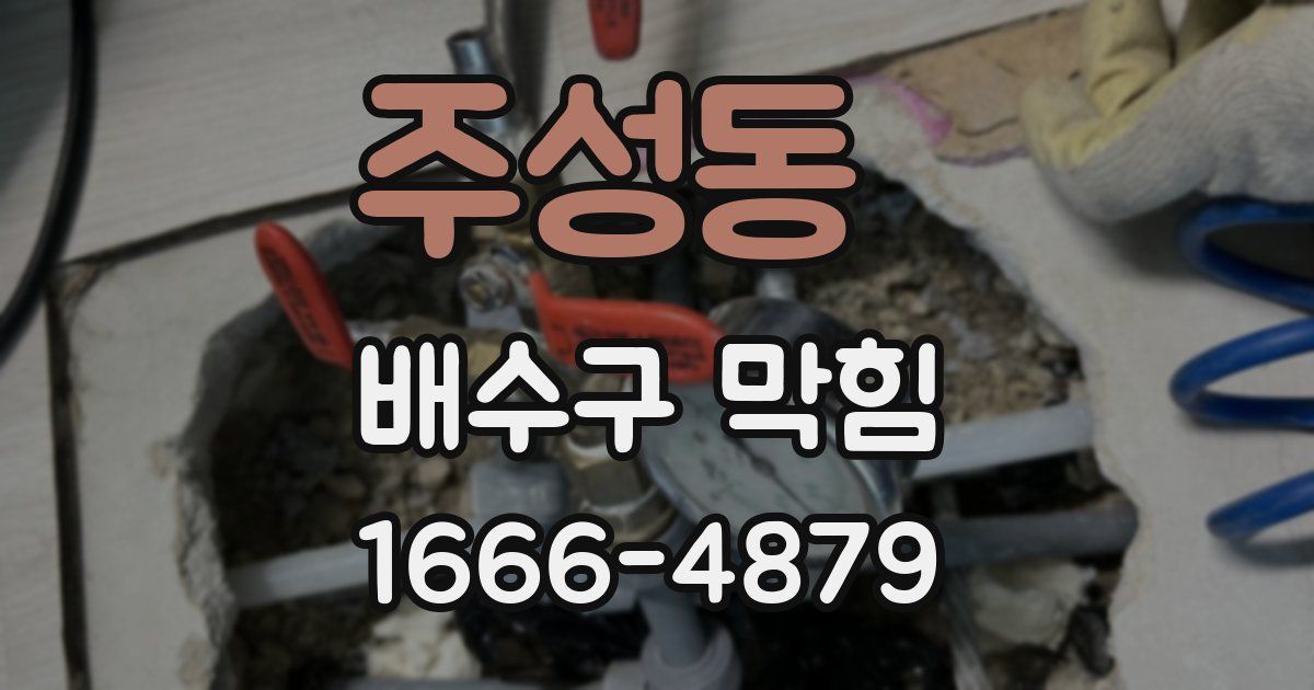 주성동 배수구 막힘