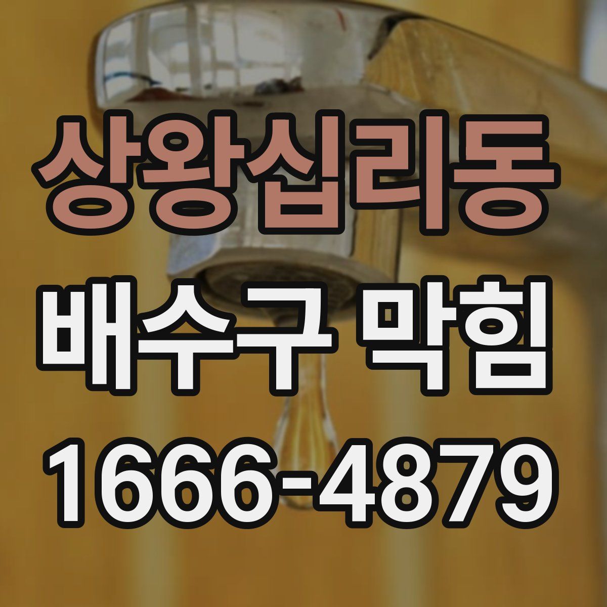 상왕십리동 배수구 막힘