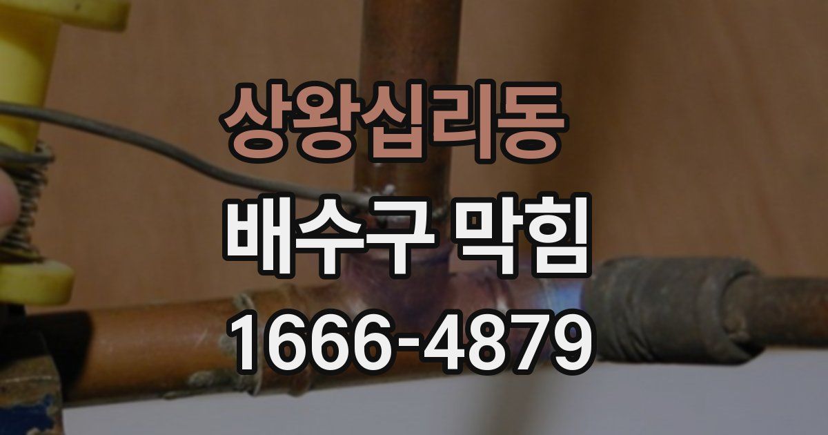 상왕십리동 배수구 막힘