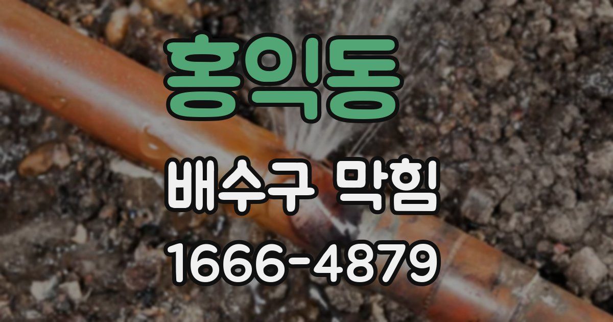 홍익동 배수구 막힘