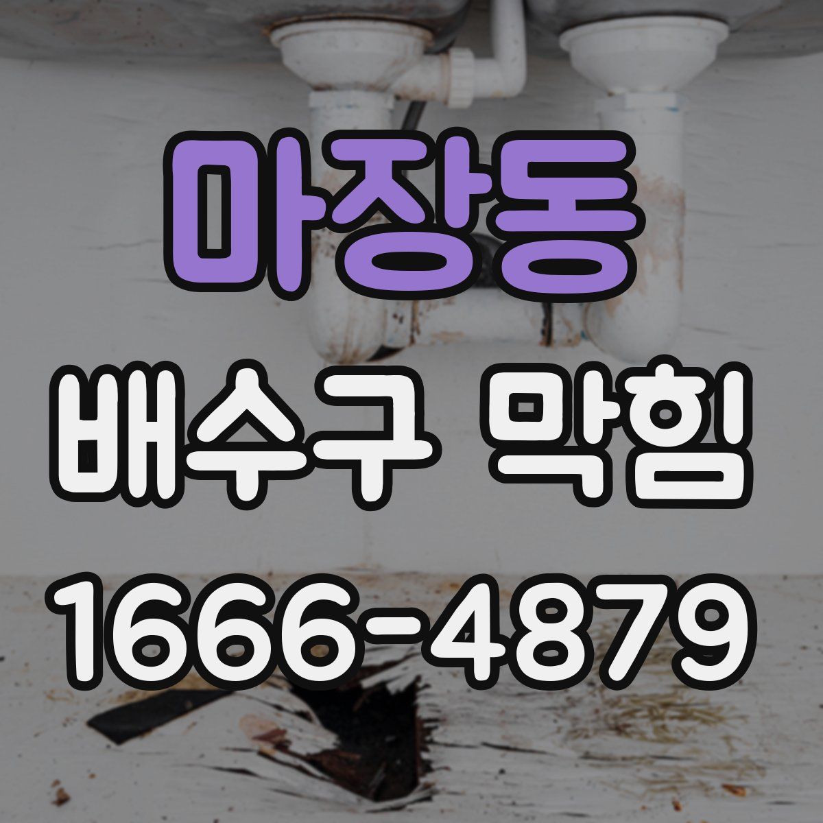 마장동 배수구 막힘