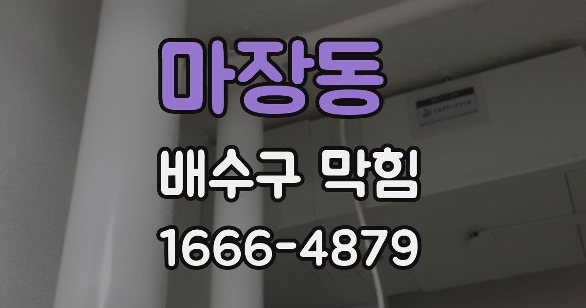 마장동 배수구 막힘