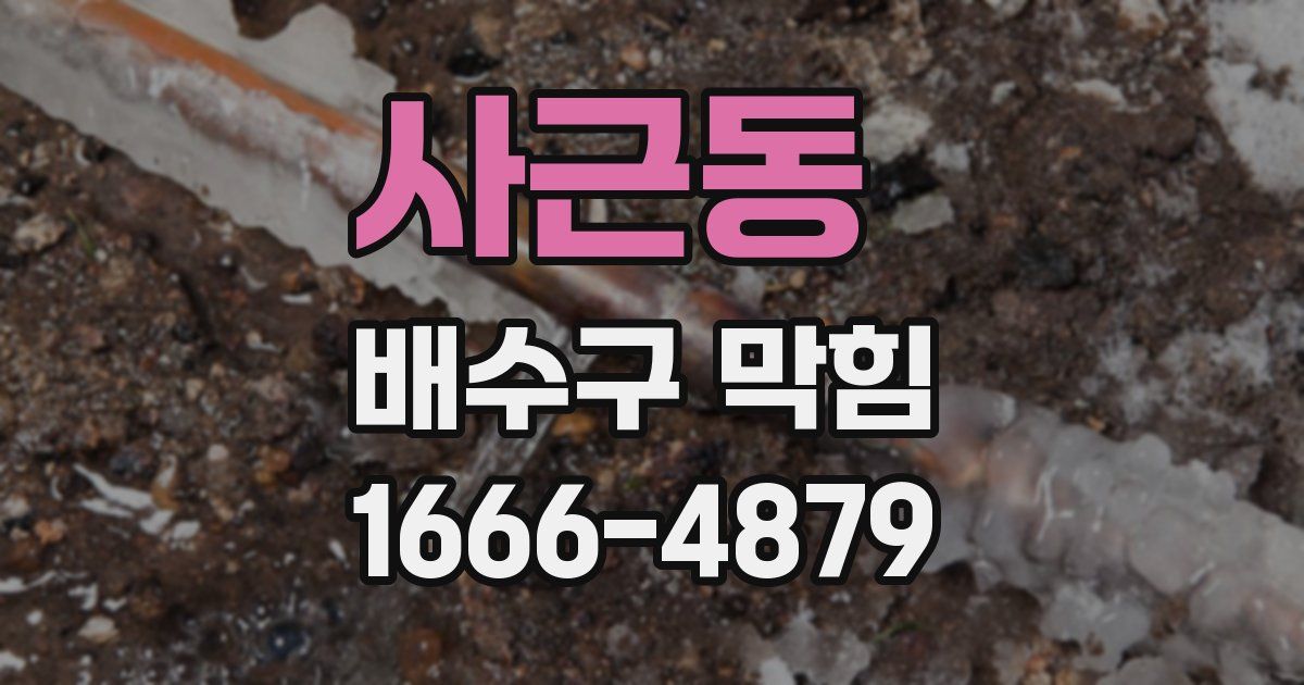 사근동 배수구 막힘