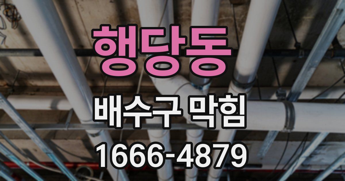 행당동 배수구 막힘
