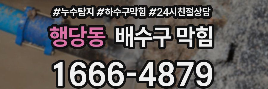 행당동 배수구 막힘