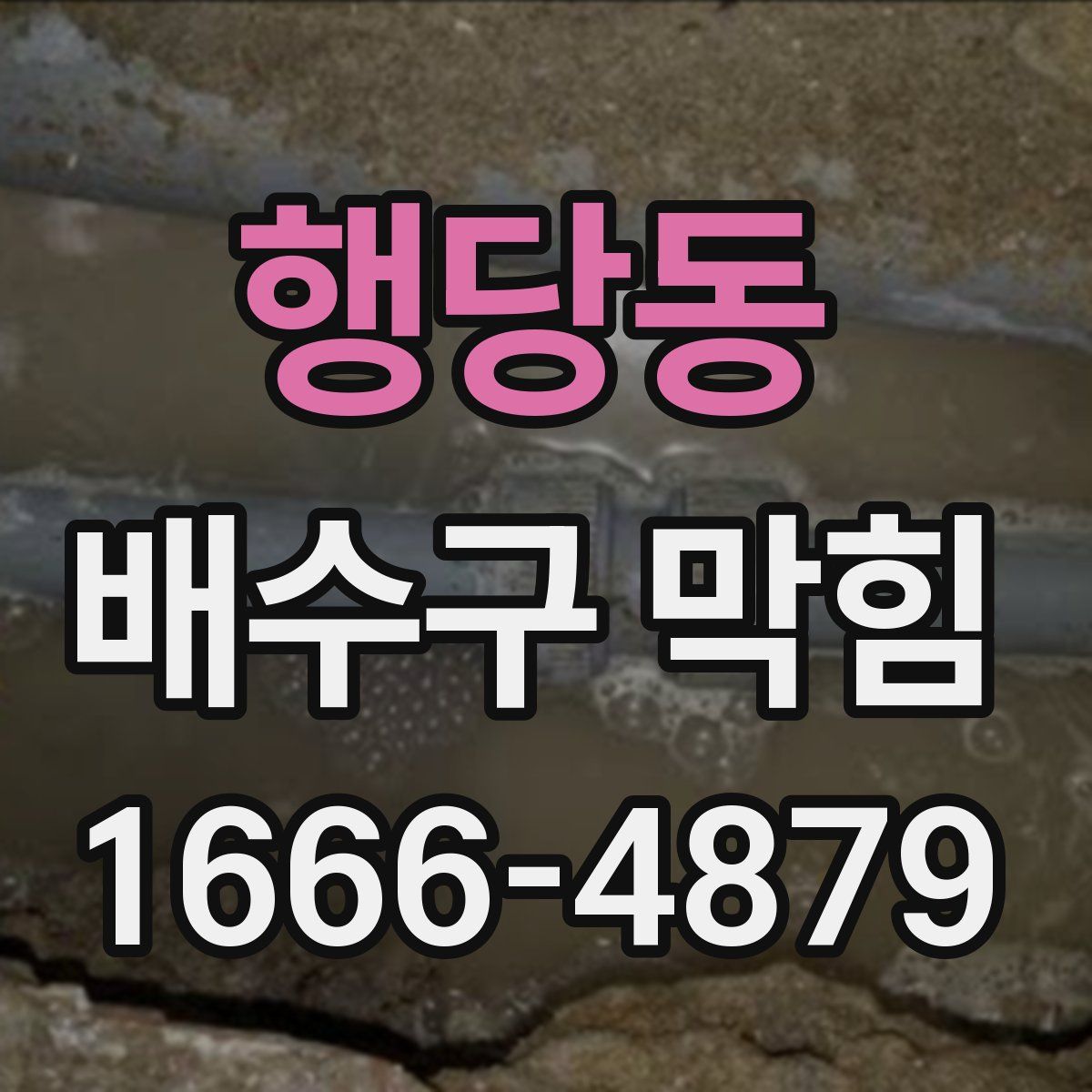 행당동 배수구 막힘