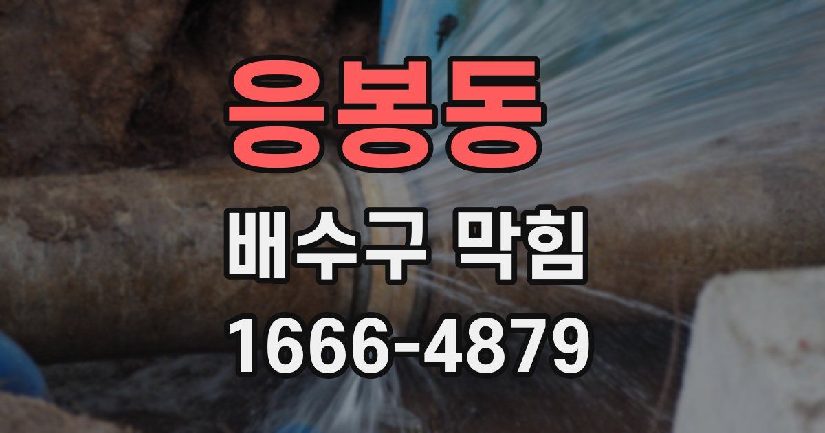 응봉동 배수구 막힘