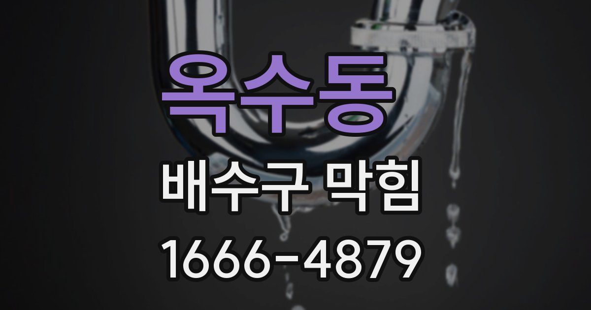 옥수동 배수구 막힘