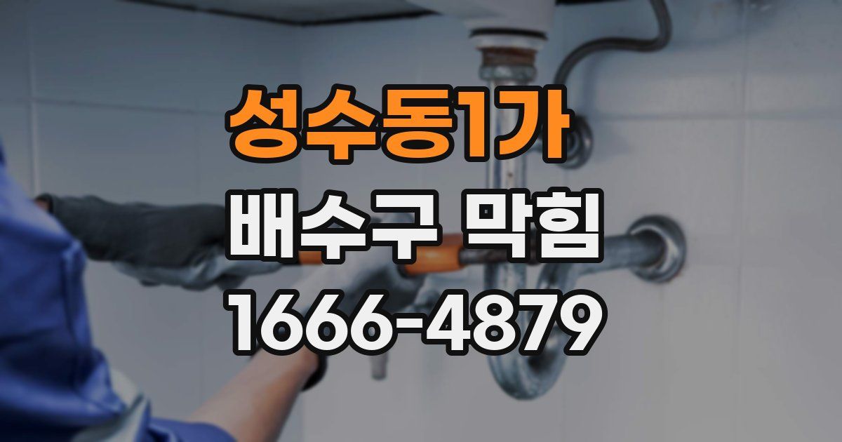 성수동1가 배수구 막힘