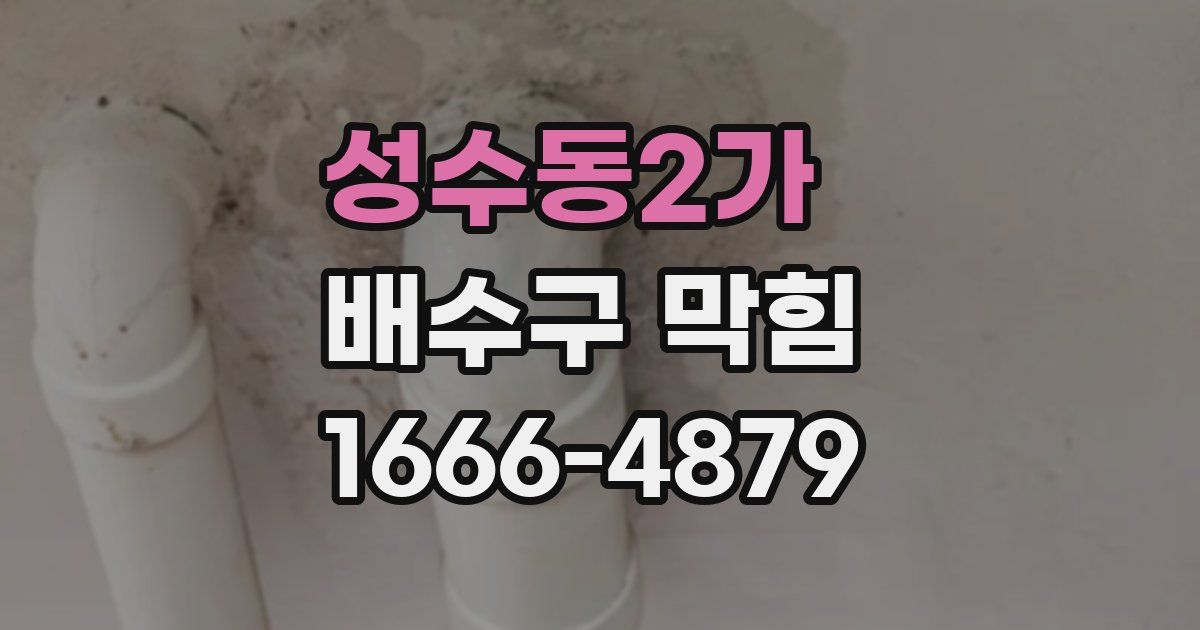성수동2가 배수구 막힘
